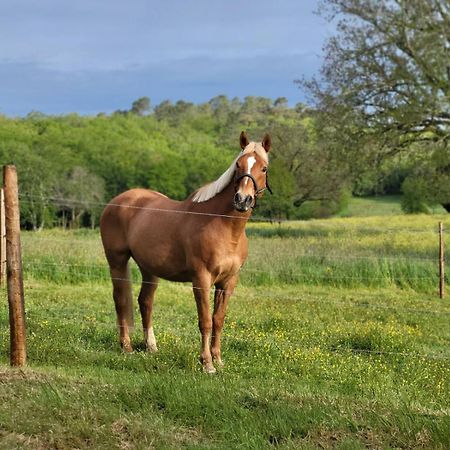 Maison Chaleureuse A La Campagne Payrignac Luaran gambar
